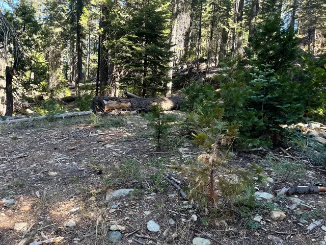a view of road with trees
