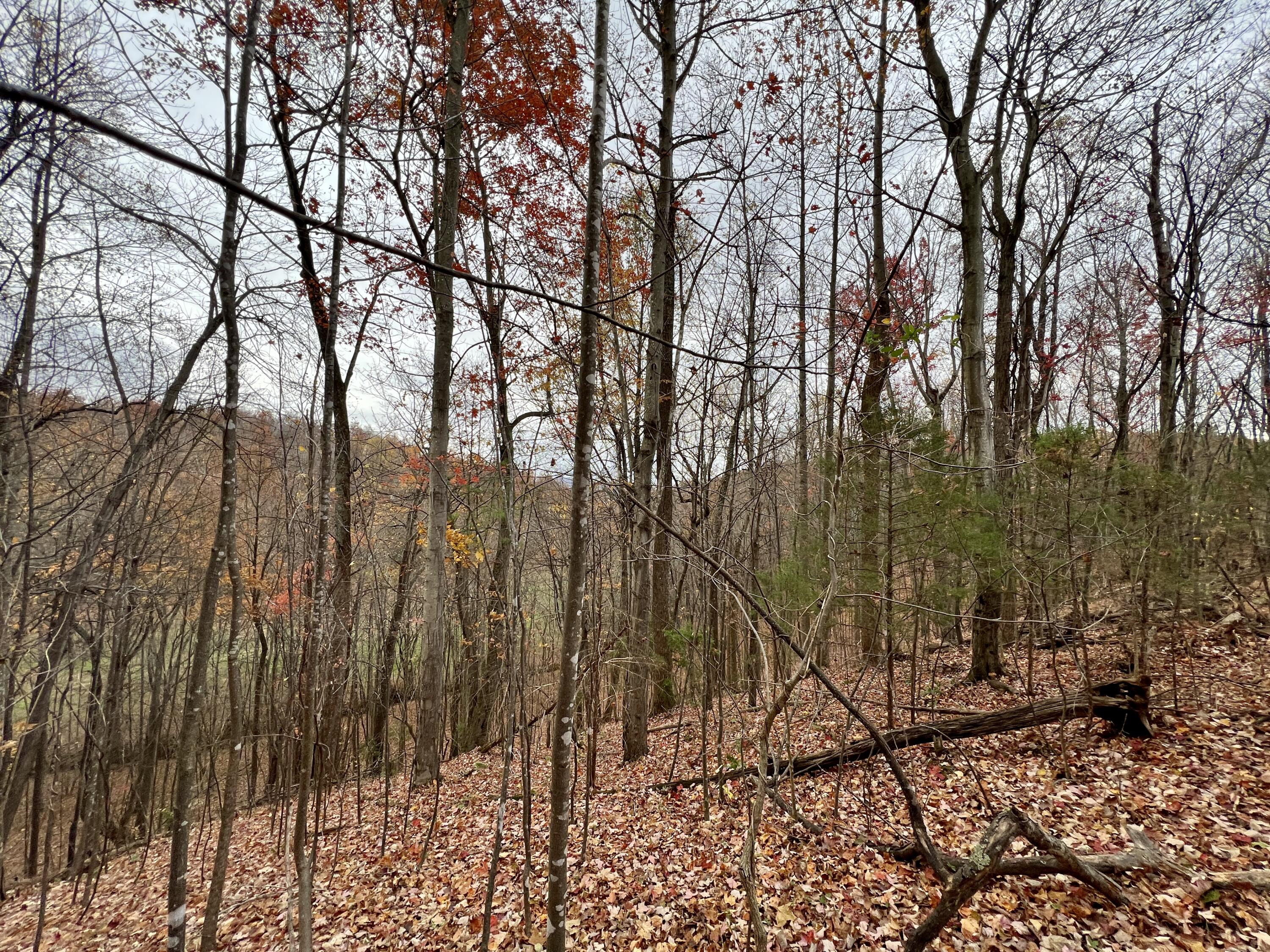 Lot 15 Fox Run Road Boones Mill, VA 24065 - Photo 3 of 6 IMG_6639
