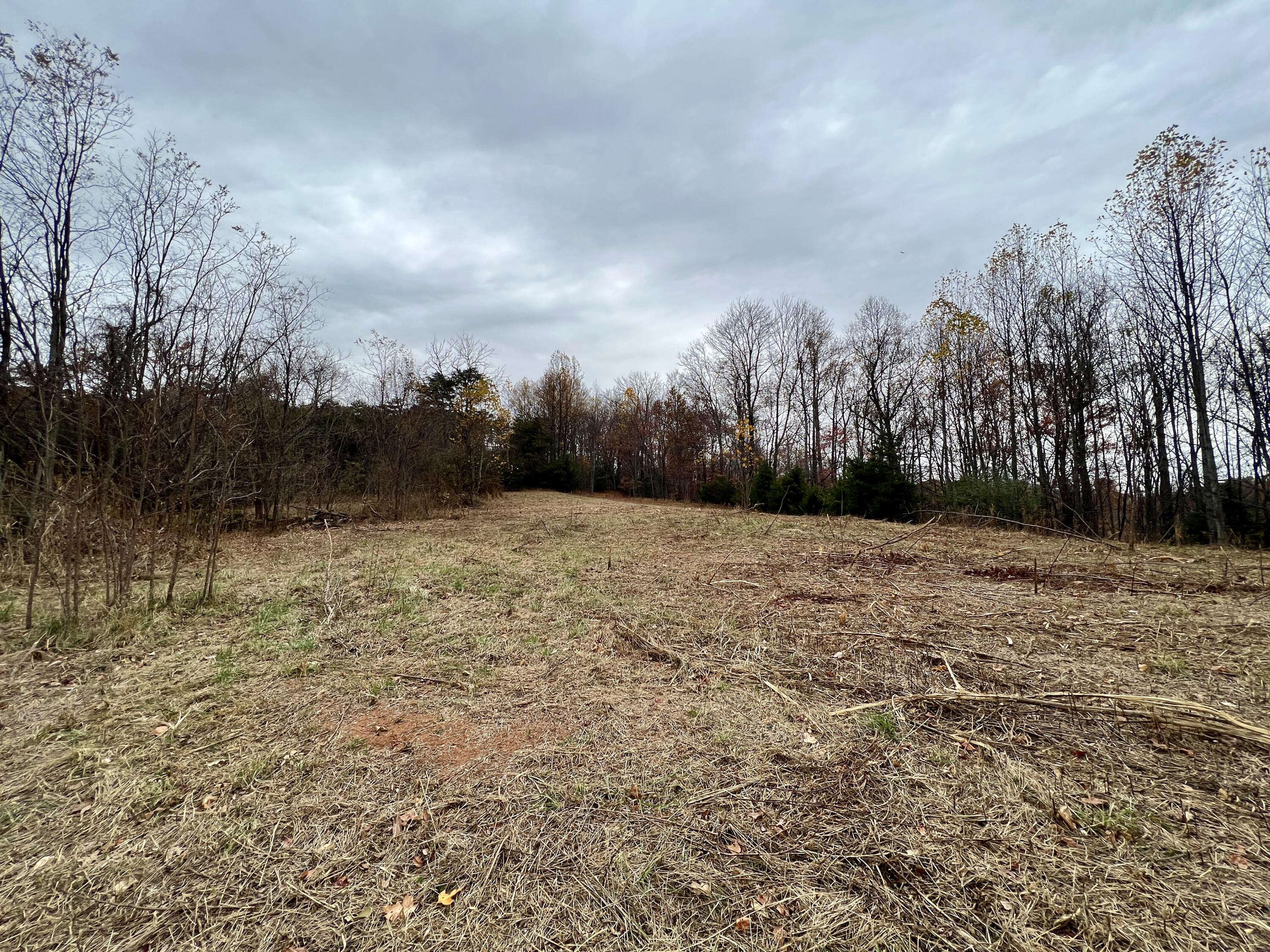 Lot 15 Fox Run Road Boones Mill, VA 24065 - Photo 6 of 6 IMG_6635