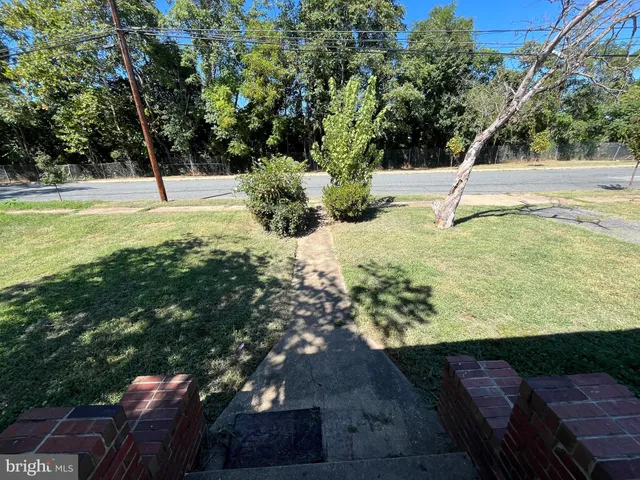 a view of a yard with plants