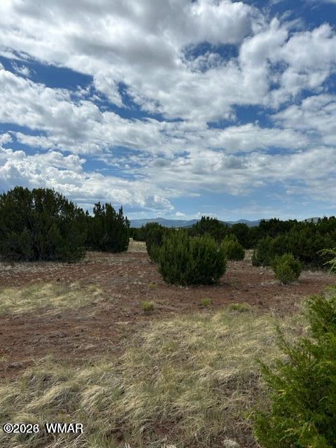 N3109 Rd Vernon Az 85940 Road Vernon, AZ 85940 - Photo 4 of 17