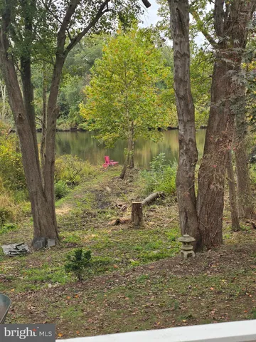 a view of a lake with a tree