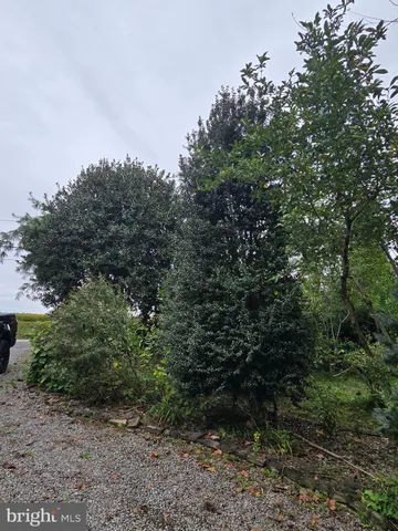 a bathroom with a toilet and a shower curtain