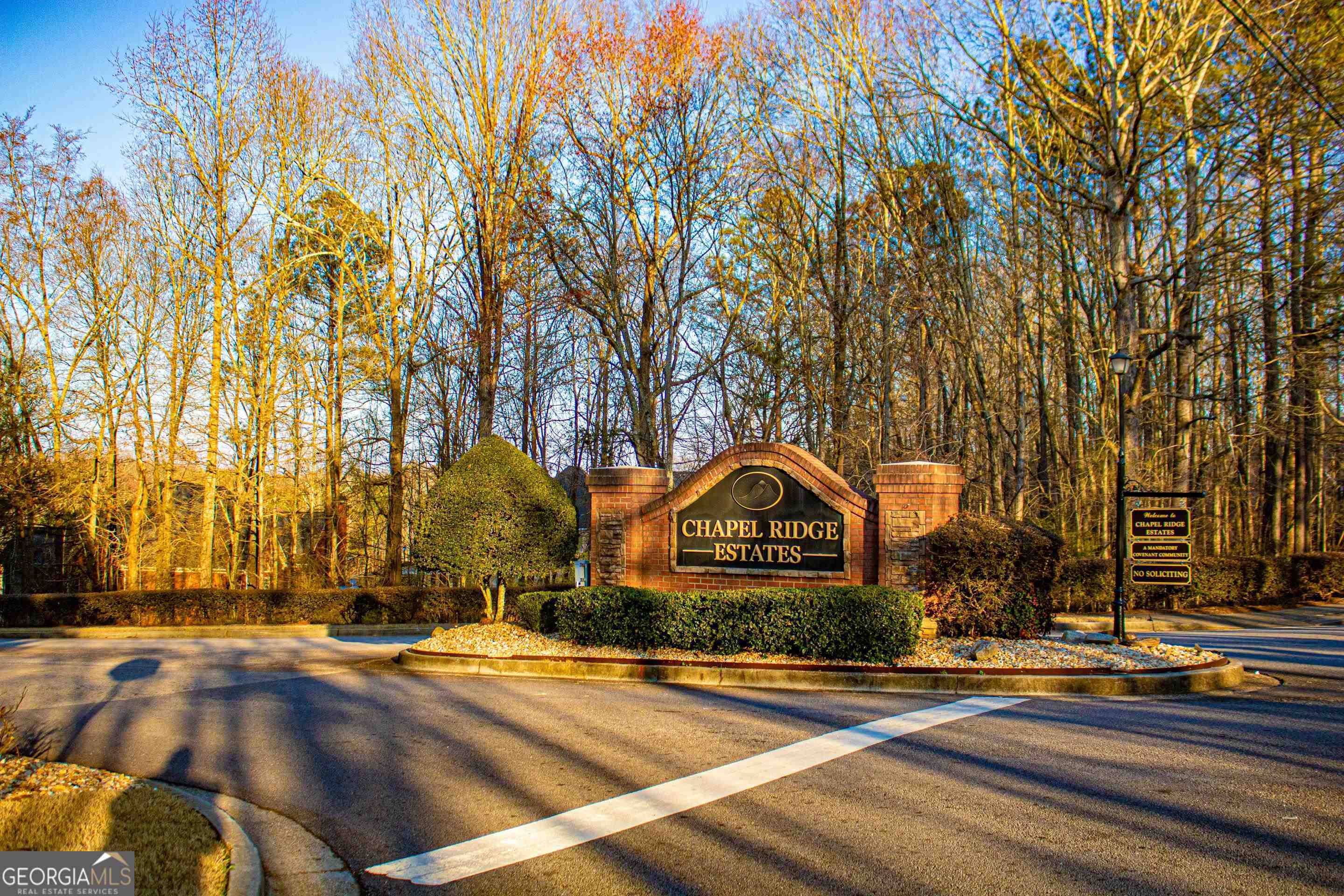 a front view of a house with street trees and garage