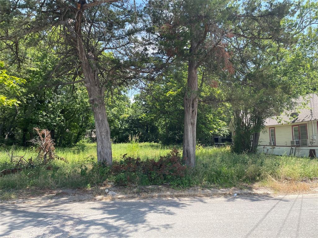a view of a trees and yard