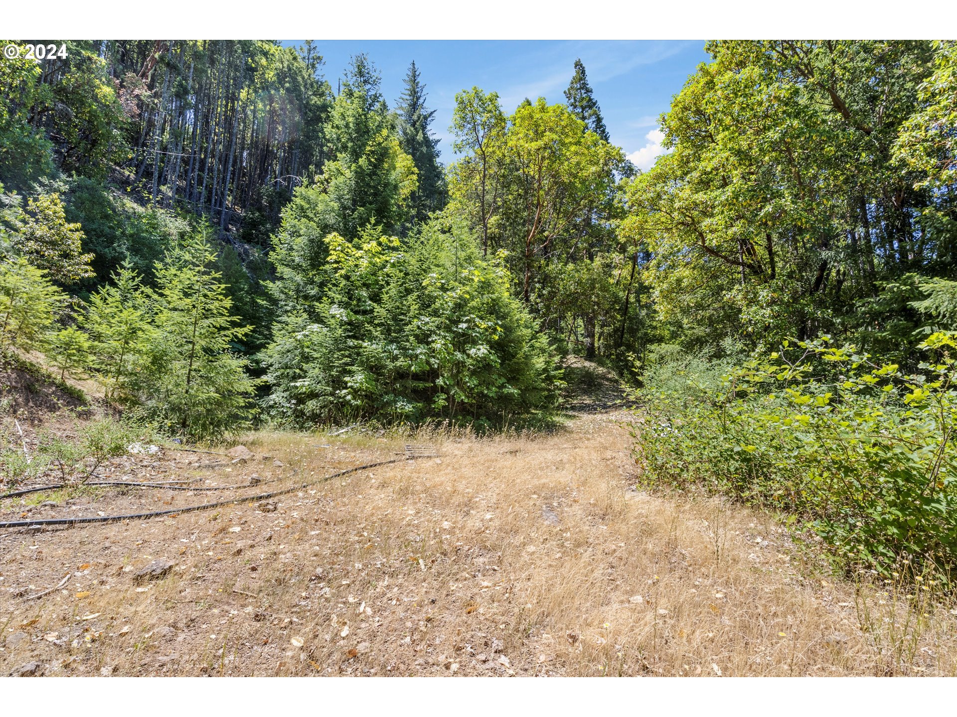 101 West Fork Trail Creek Road Trail, OR 97541 - Photo 14 of 27 Gallery Image 14