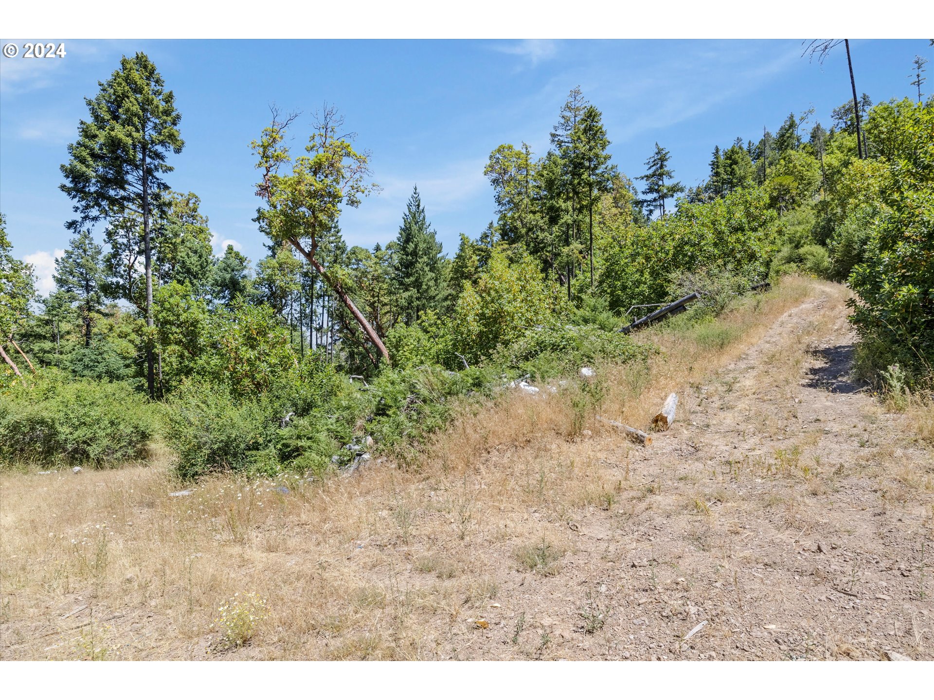 101 West Fork Trail Creek Road Trail, OR 97541 - Photo 15 of 27 Gallery Image 15