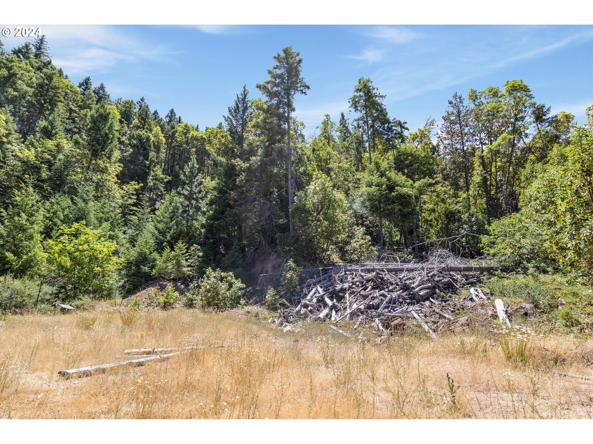 101 West Fork Trail Creek Road Trail, OR 97541 - Photo 17 of 27 Gallery Image 17