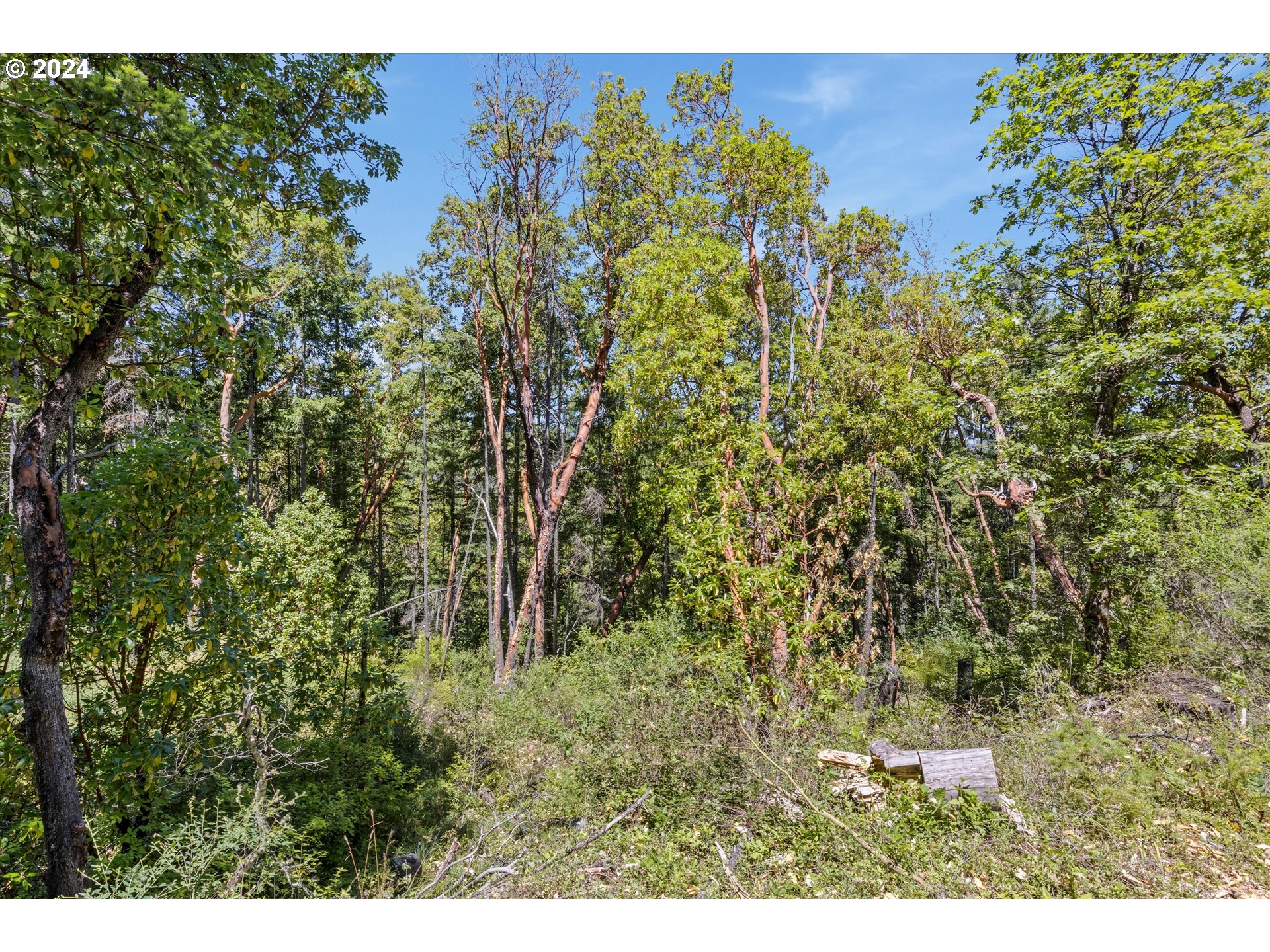 101 West Fork Trail Creek Road Trail, OR 97541 - Photo 18 of 27 Gallery Image 18