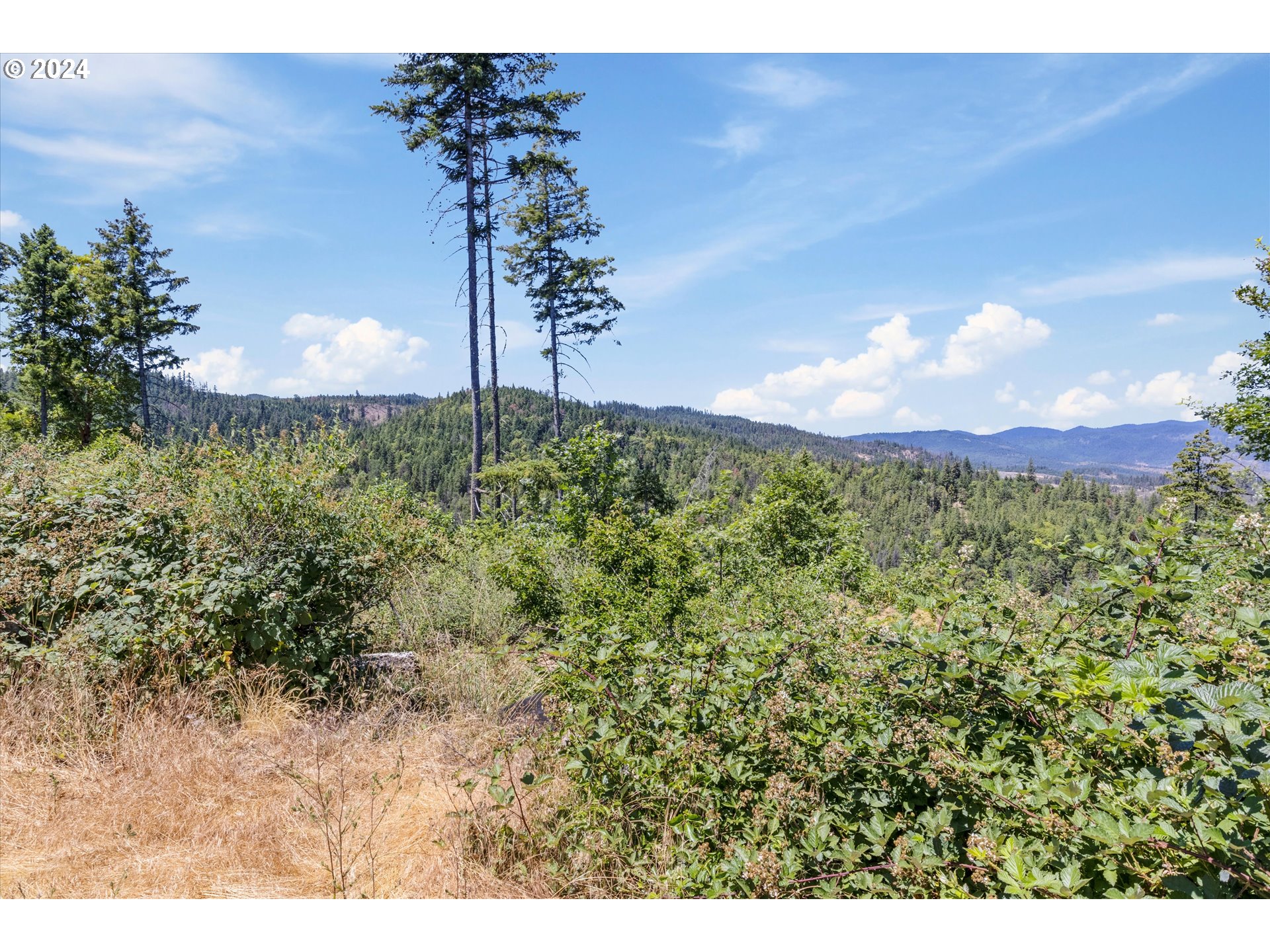 101 West Fork Trail Creek Road Trail, OR 97541 - Photo 21 of 27 Gallery Image 21