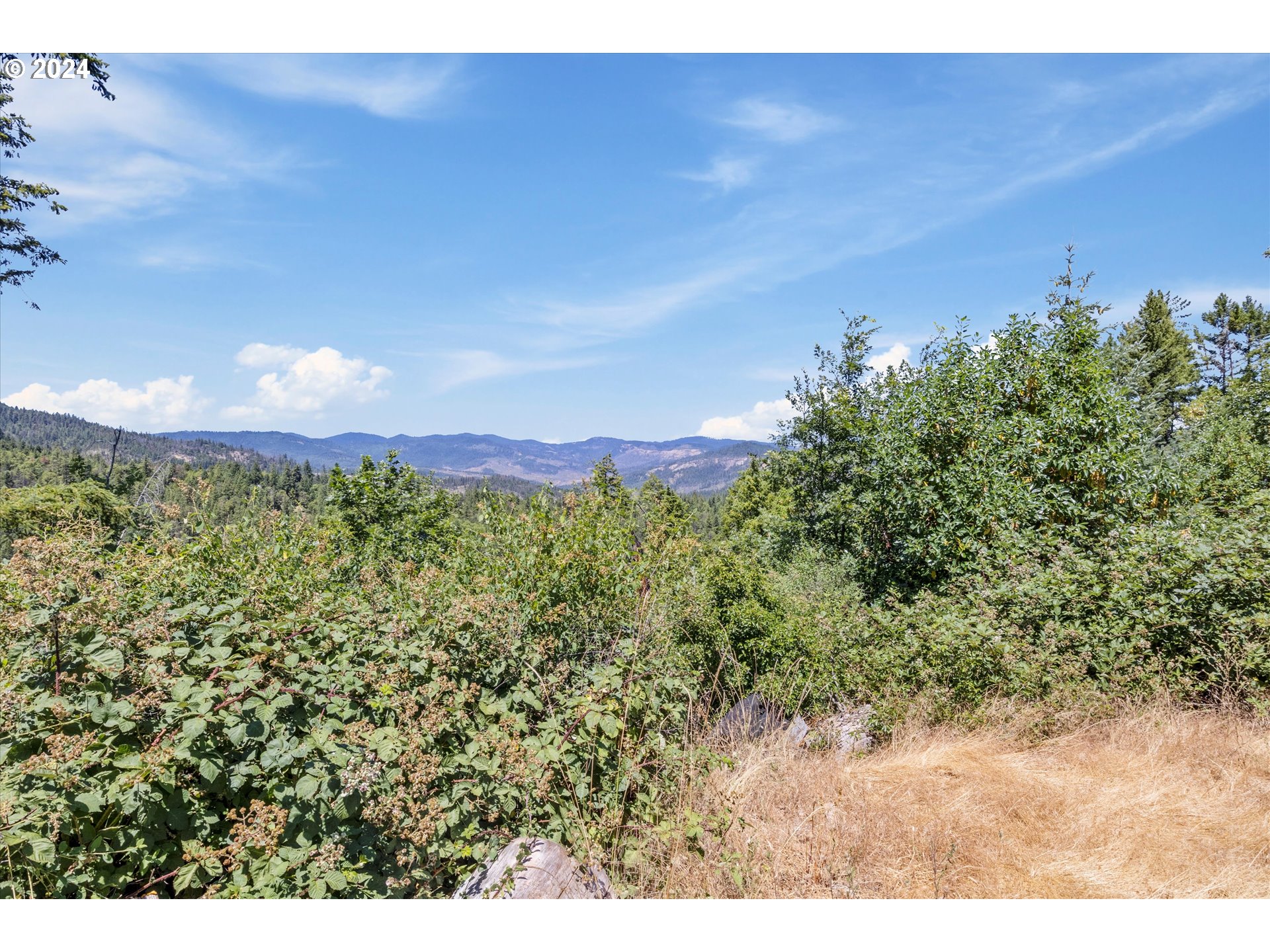 101 West Fork Trail Creek Road Trail, OR 97541 - Photo 22 of 27 Gallery Image 22