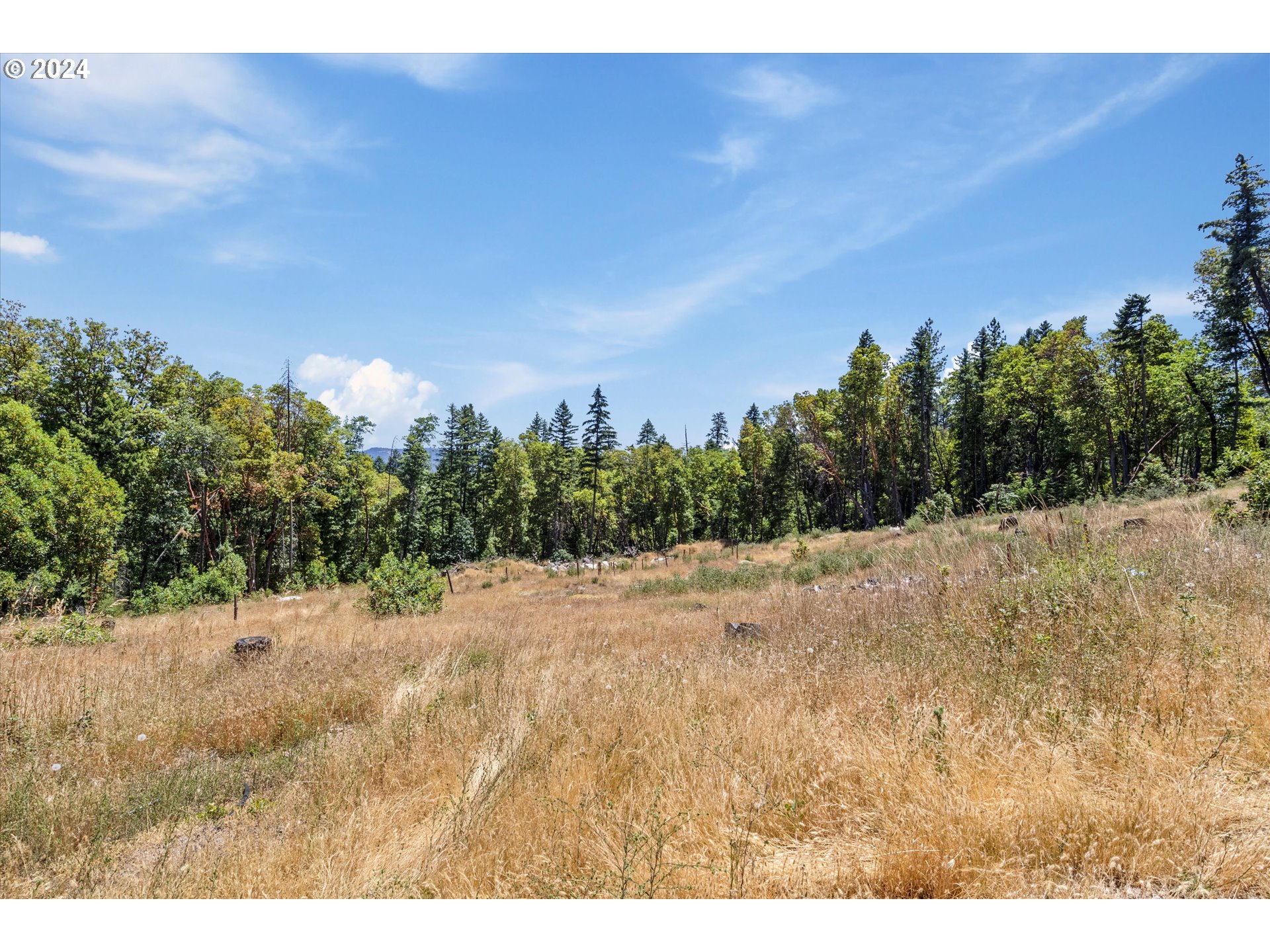 101 West Fork Trail Creek Road Trail, OR 97541 - Photo 23 of 27 Gallery Image 23