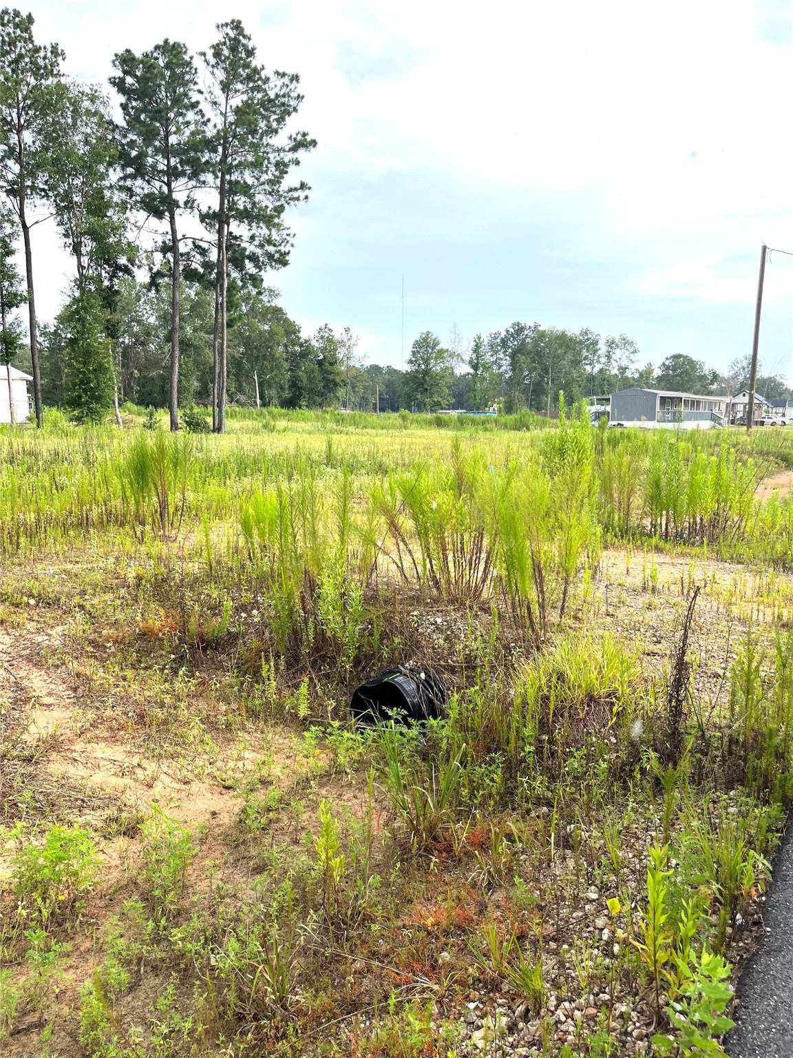 310-county Road 310-county Road Splendora, TX 77372 - Photo 2 of 11