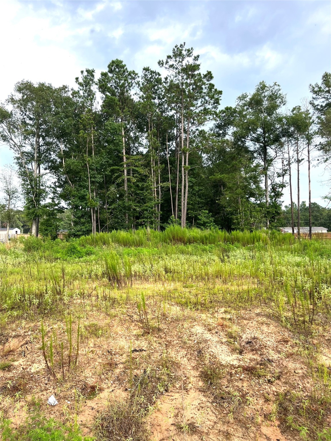 310-county Road 310-county Road Splendora, TX 77372 - Photo 4 of 11