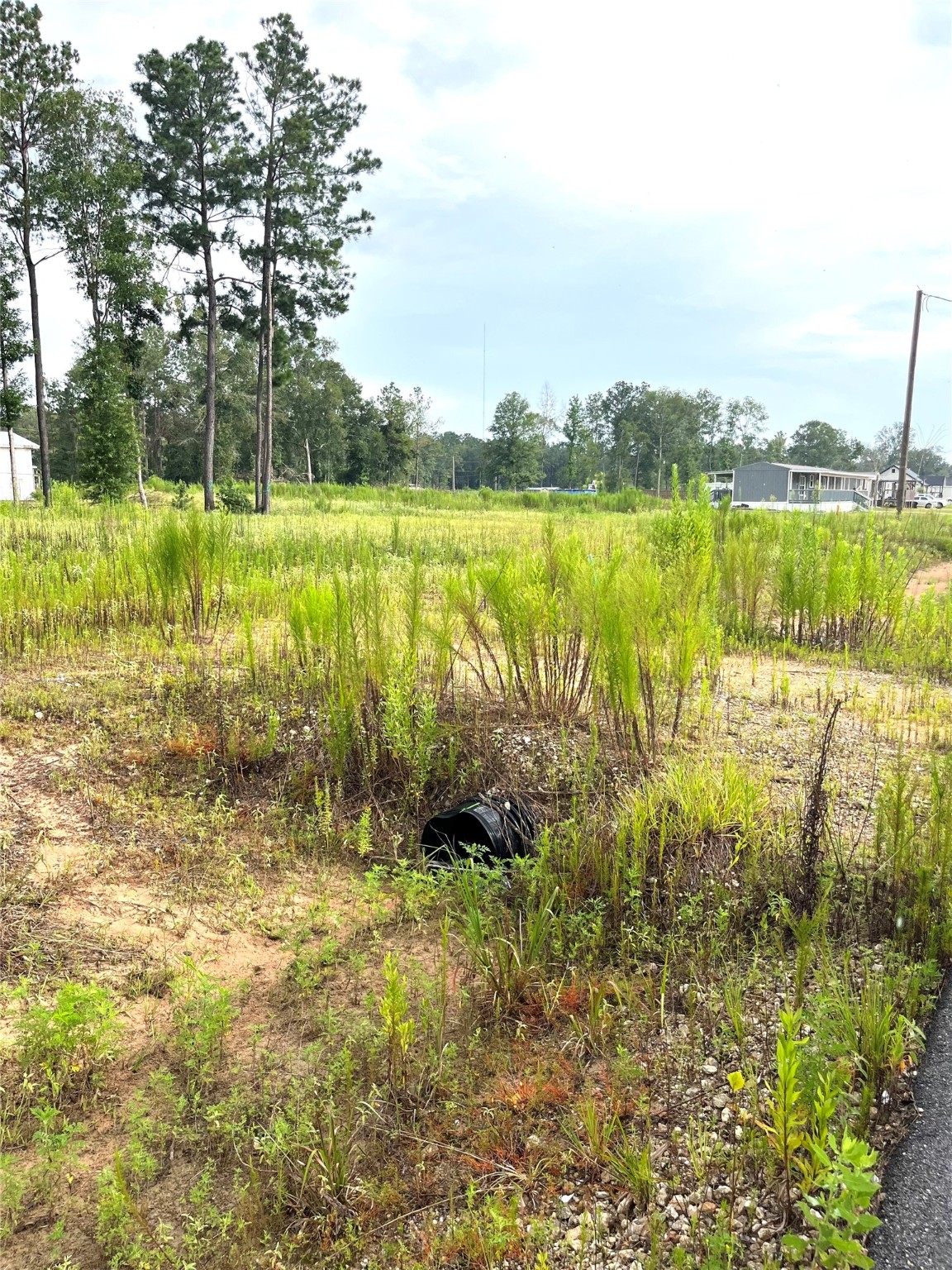310-county Road 310-county Road Splendora, TX 77372 - Photo 5 of 11