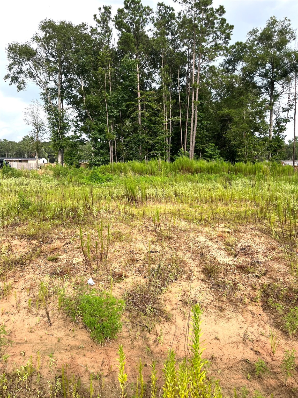 310-county Road 310-county Road Splendora, TX 77372 - Photo 7 of 11