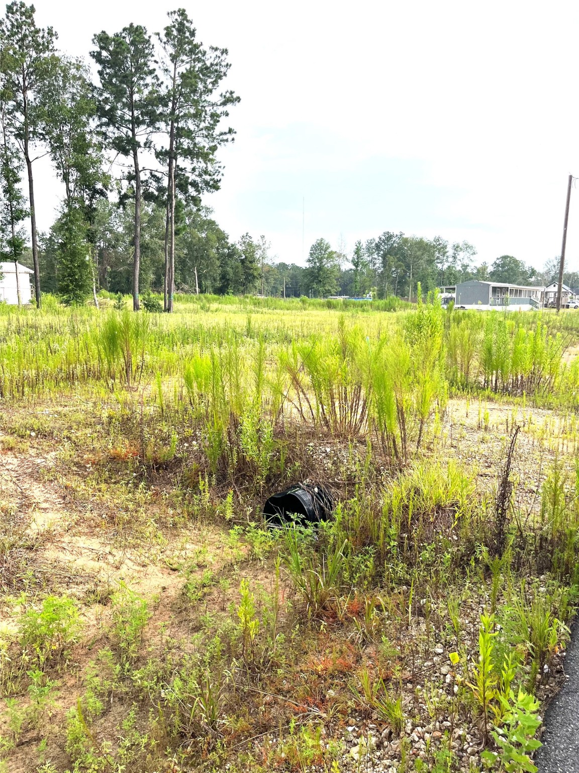 310-county Road 310-county Road Splendora, TX 77372 - Photo 8 of 11