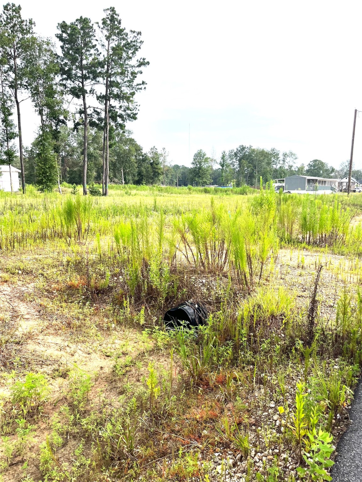 310-county Road 310-county Road Splendora, TX 77372 - Photo 9 of 11