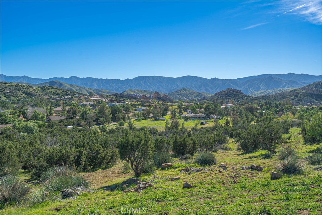 10540 Darling Road Agua Dulce, CA 91390 - Photo 44 of 56 Rocks and mountains view