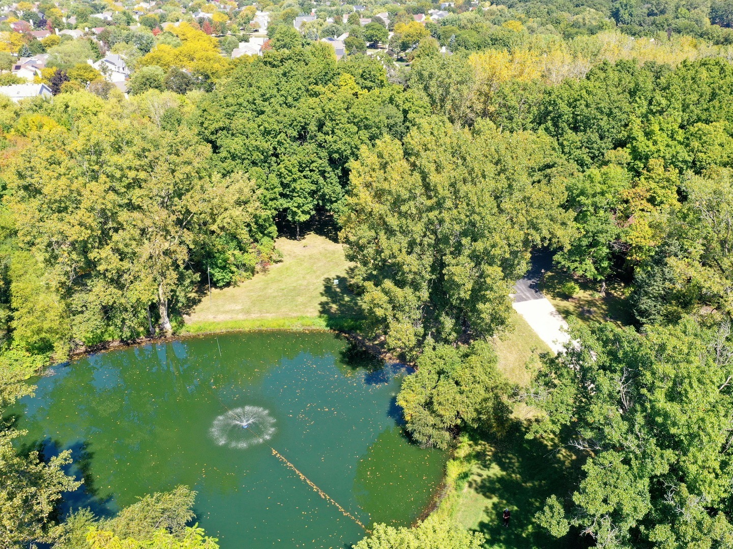 18238 West Gages Lake Road Grayslake, IL 60030 - Photo 12 of 18 a view of a garden