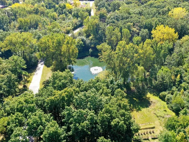 a view of a garden with a plant