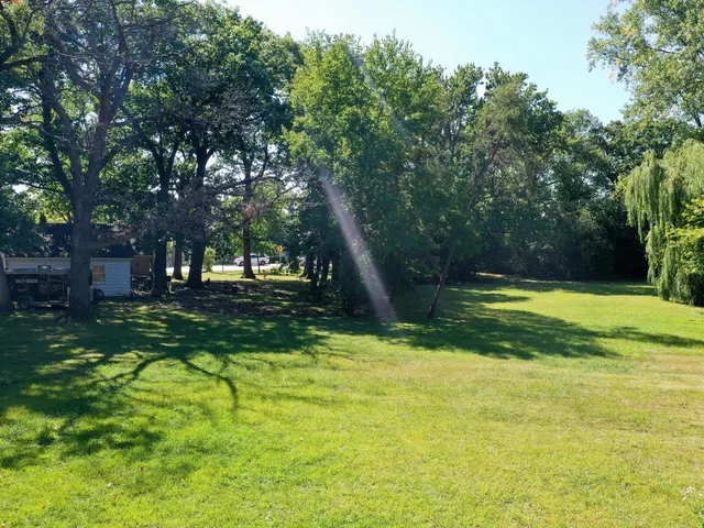 a view of a park with large trees