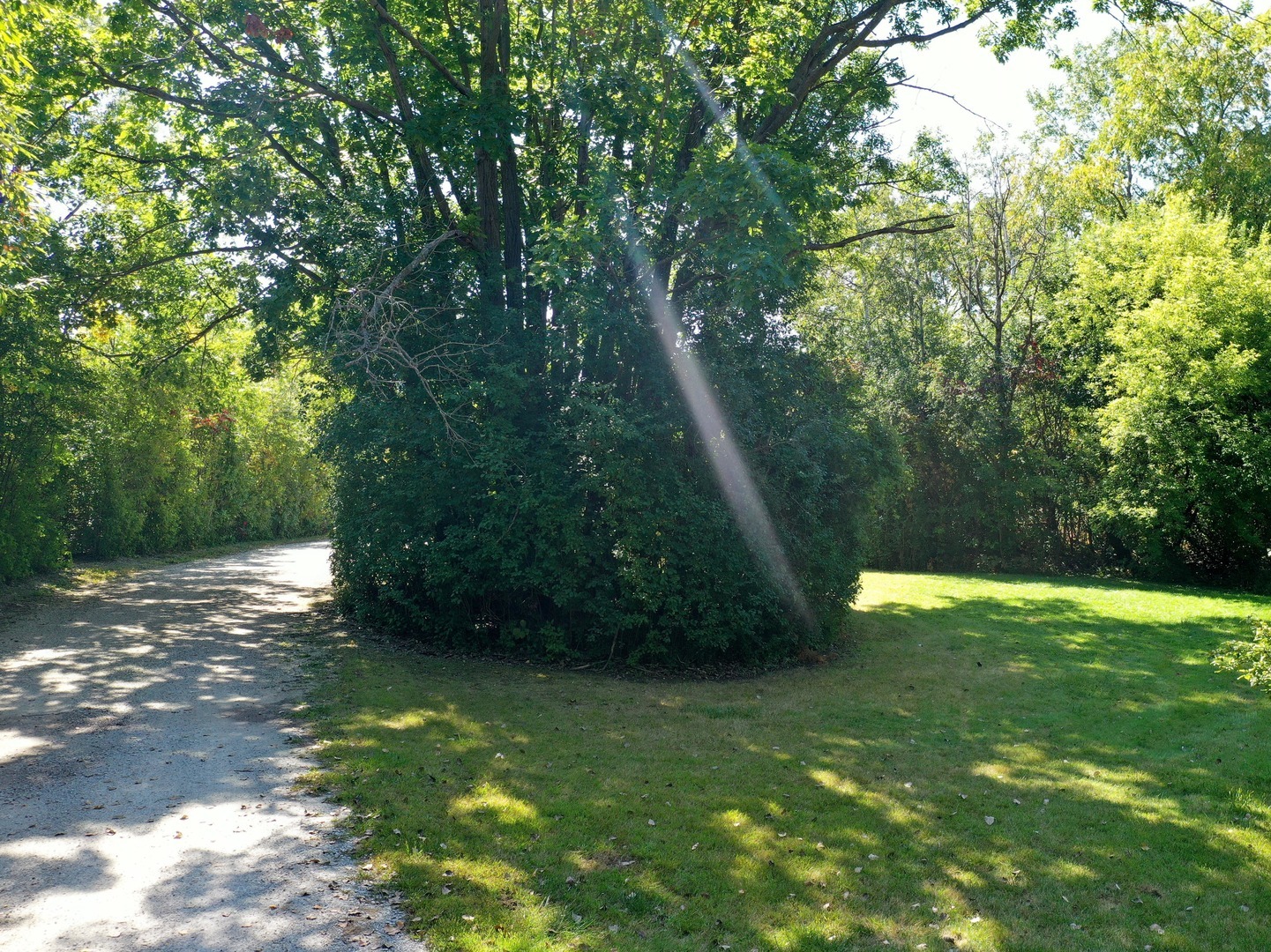 18238 West Gages Lake Road Grayslake, IL 60030 - Photo 10 of 18 a view of a trees with a yard