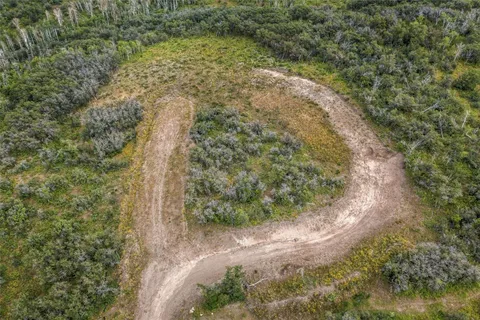 a view of a yard with plants and a wooden wall