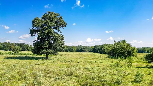 a view of a green field with trees in the background