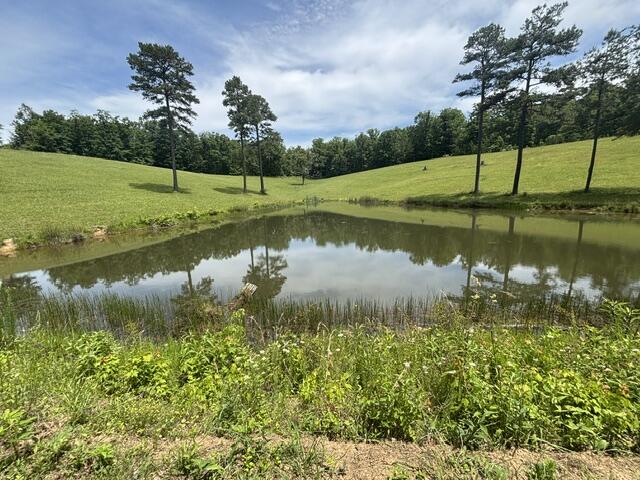 1398 Begley Road South McKee, KY 40447 - Photo 9 of 12 9
