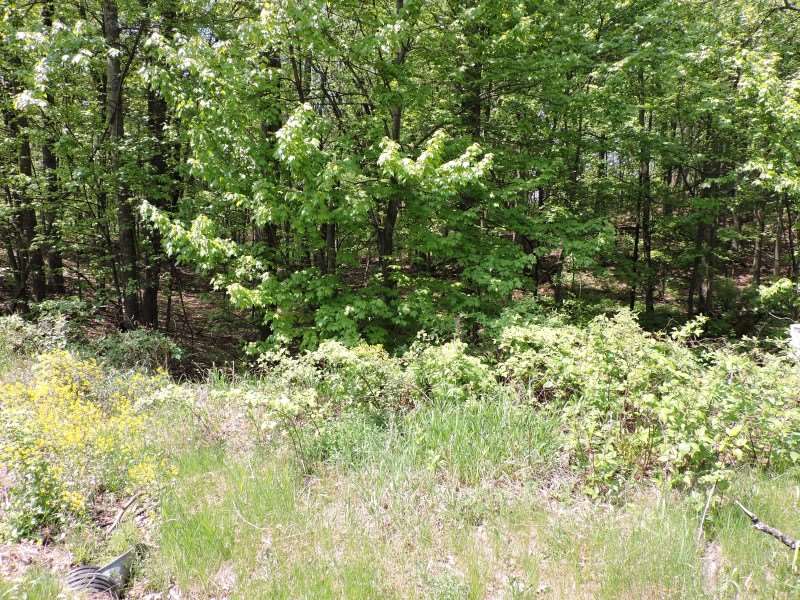 0 Fountain Grv Road Amherst, WI 54406 - Photo 1 of 1