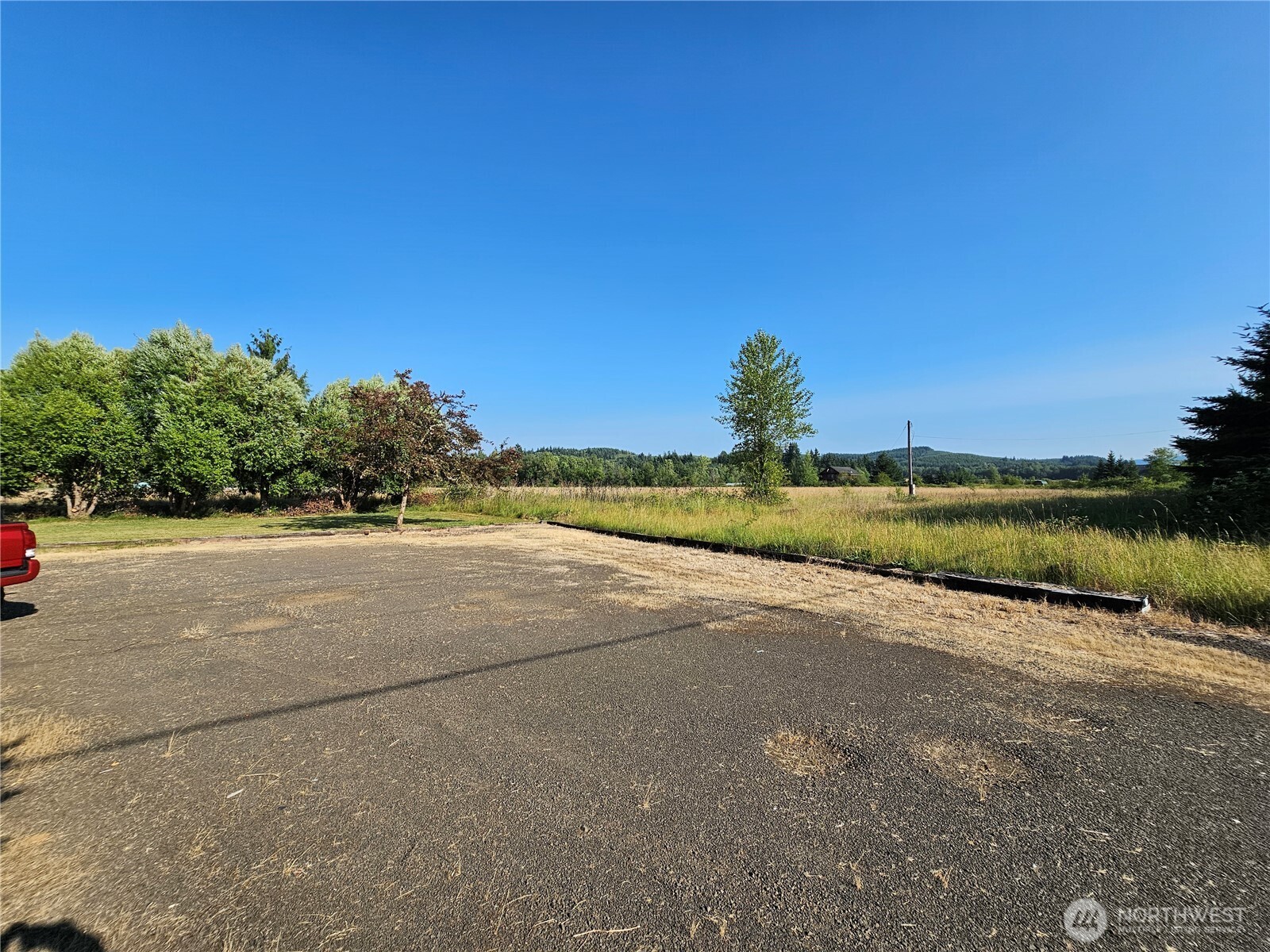 581 Boistfort Road Curtis, WA 98538 - Photo 8 of 24 Gallery Image 8