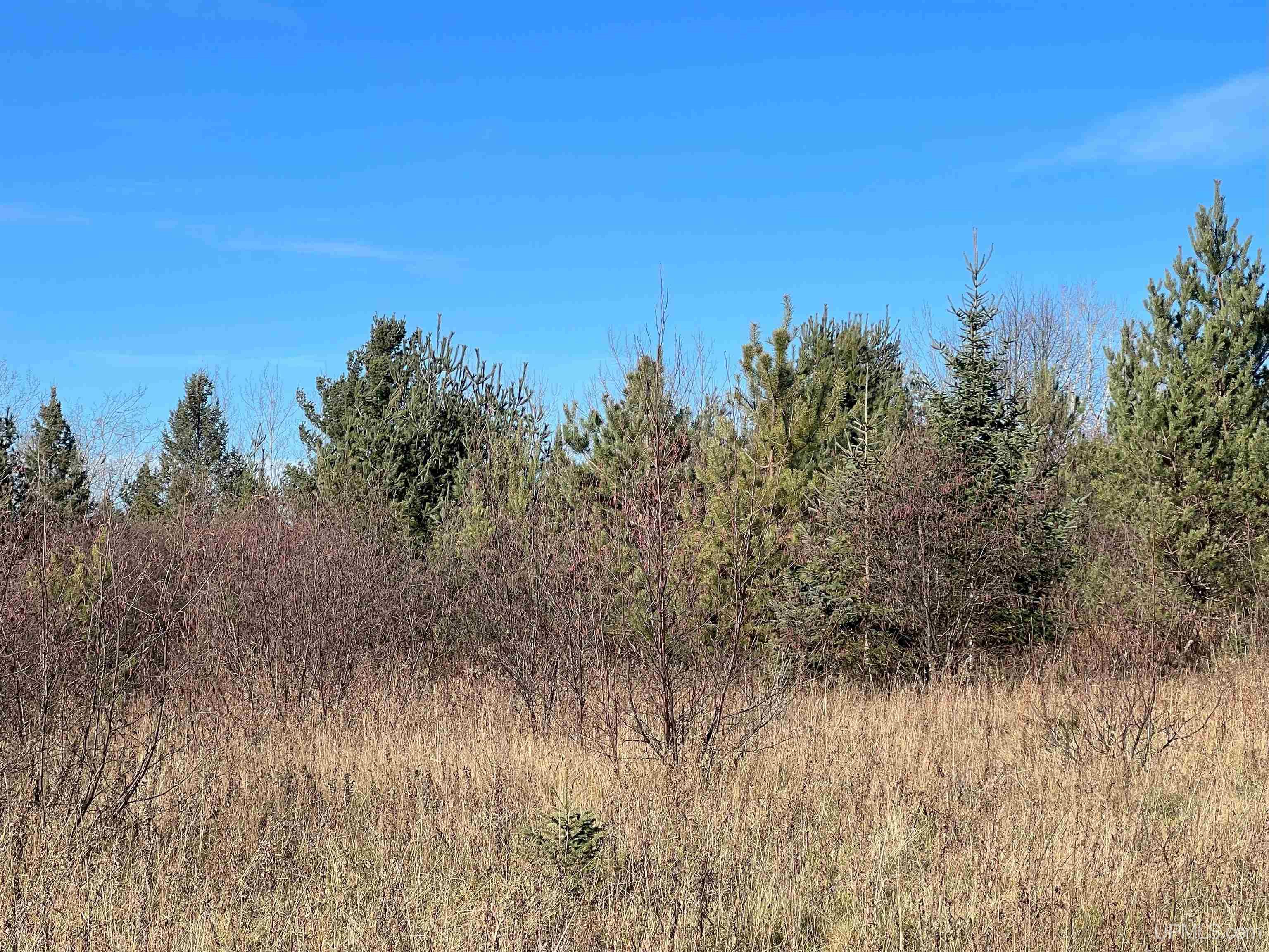 Tbd Indianhead Road, Unit US2 FRONTED Wakefield, MI 49968 - Photo 9 of 20 Gallery Image 9