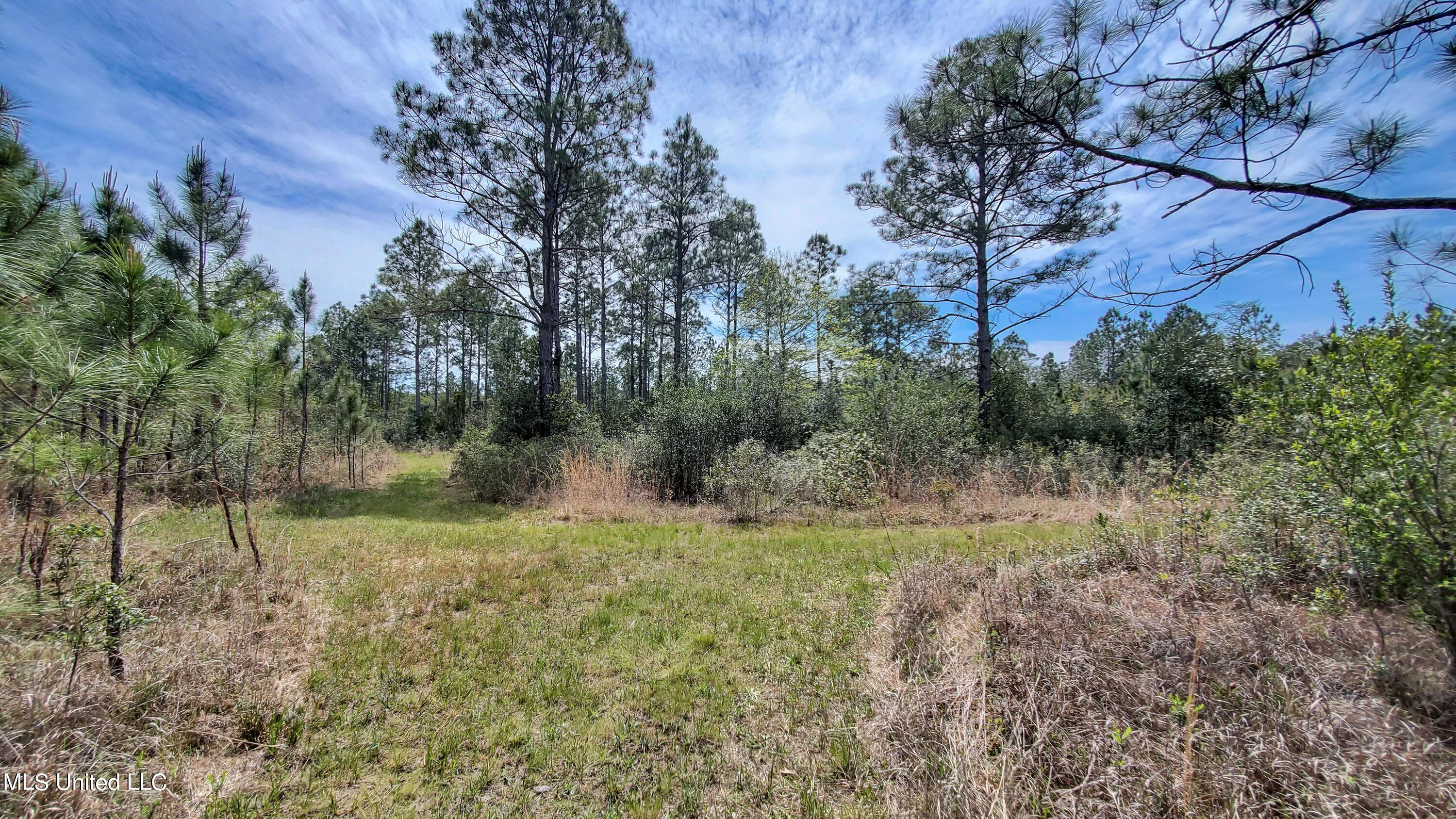 Section Road Lucedale, MS 39452 - Photo 1 of 25 land