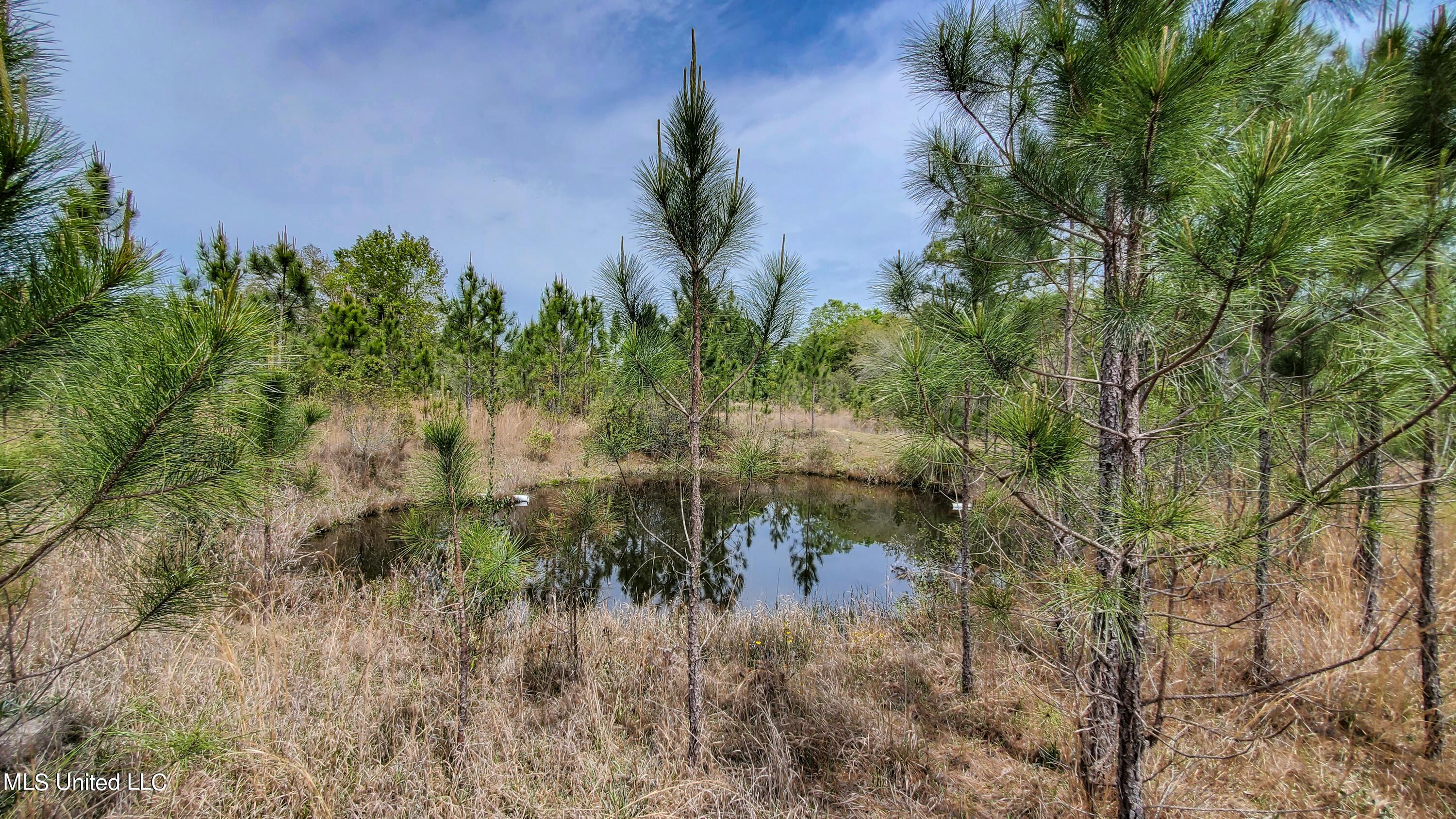 Section Road Lucedale, MS 39452 - Photo 2 of 25 2