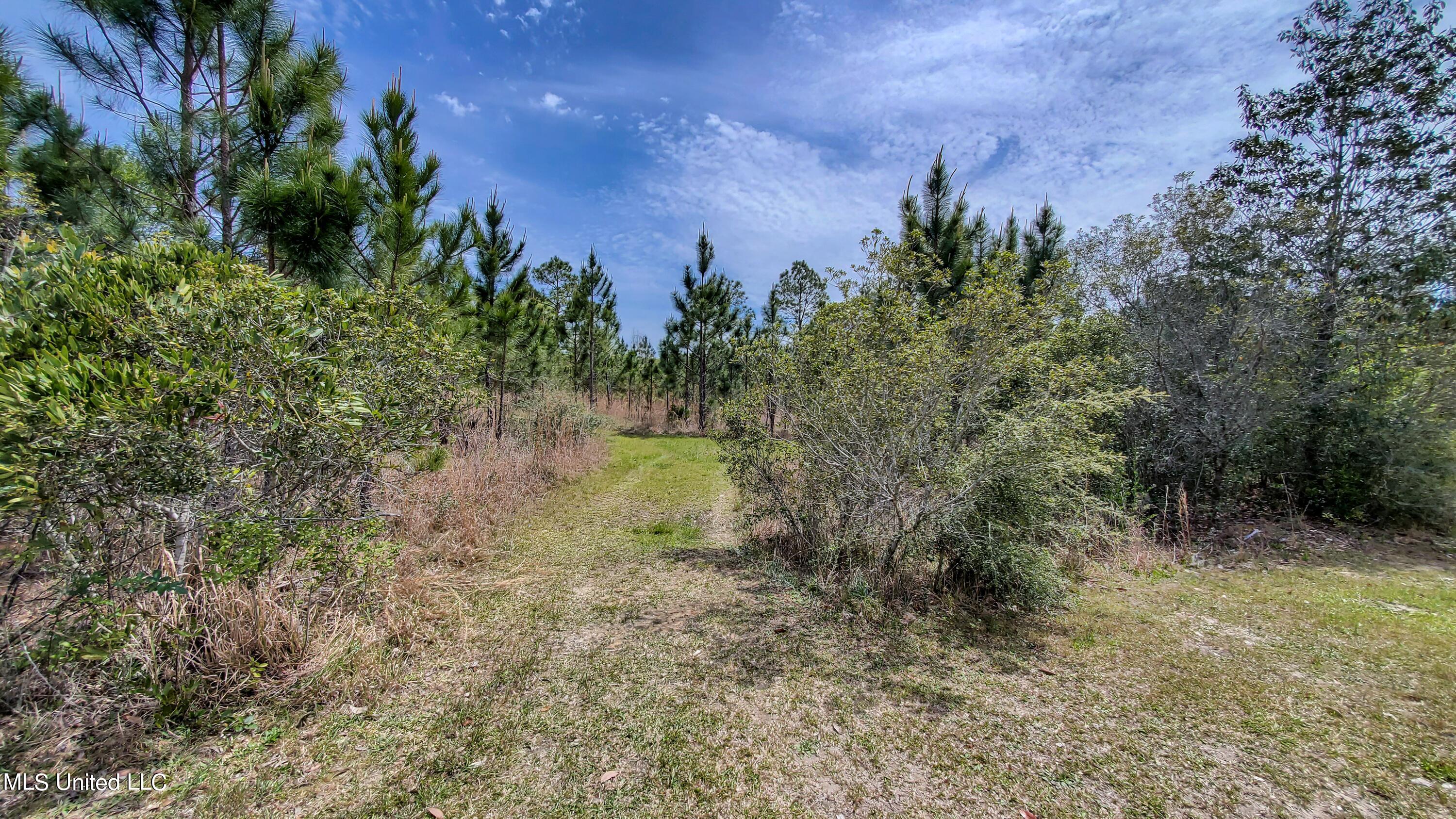 Section Road Lucedale, MS 39452 - Photo 5 of 25 Section Rd (2)