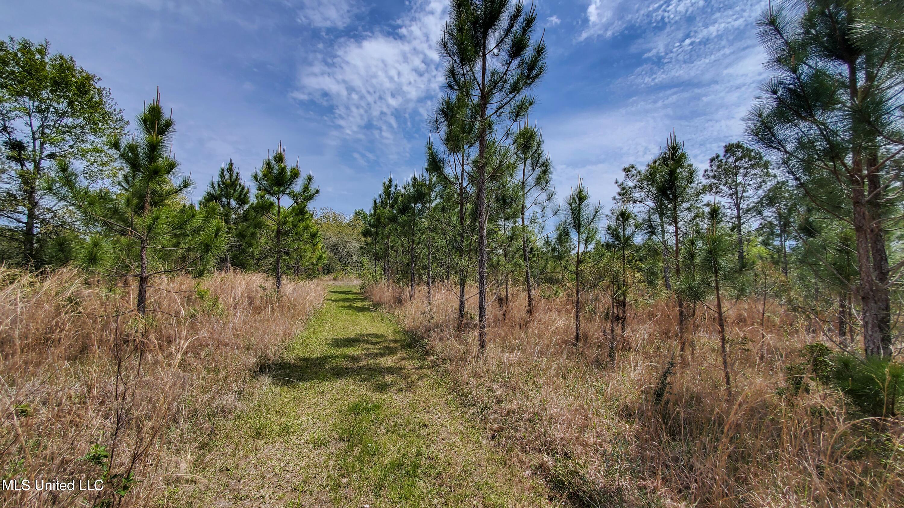 Section Road Lucedale, MS 39452 - Photo 6 of 25 Section Rd (3)