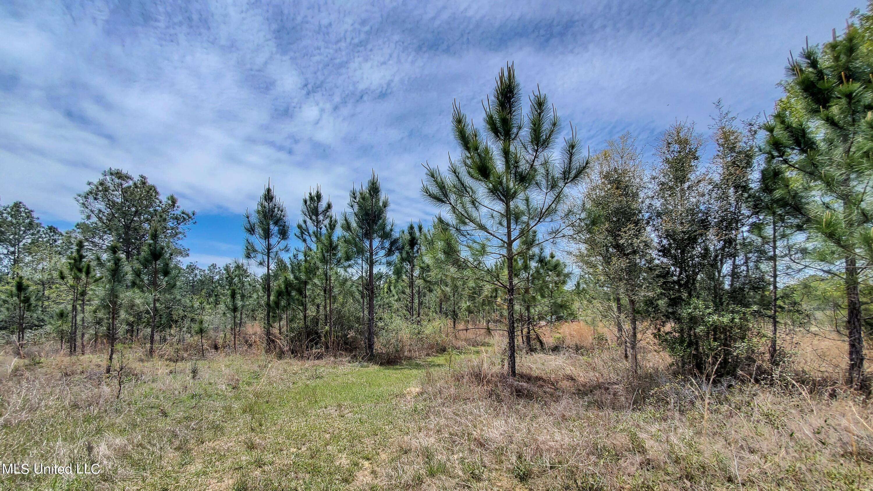 Section Road Lucedale, MS 39452 - Photo 7 of 25 Section Rd (4)