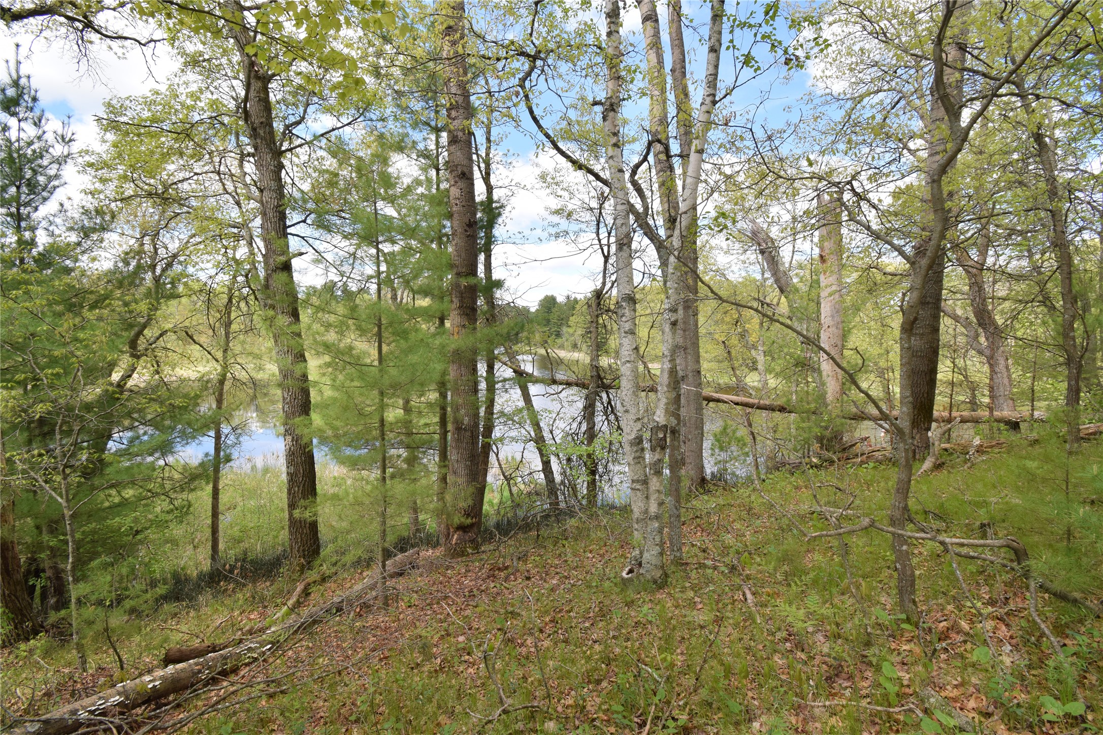 25383 Mansfield Road Webster, WI 54893 - Photo 7 of 36