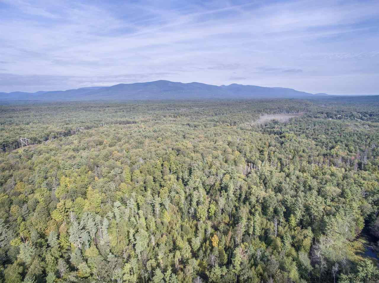 266 S Road Ruby, NY 12475 - Photo 3 of 35 Photo 3