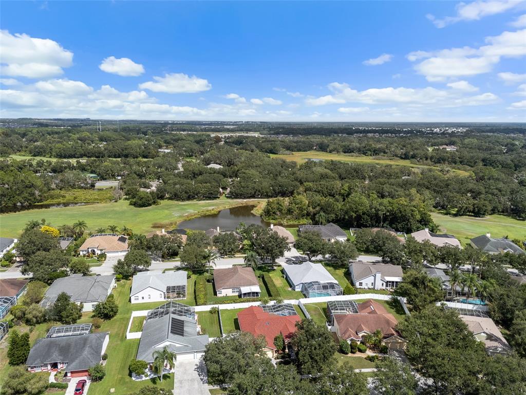 5230 Halstead Lane Zephyrhills, FL 33541 - Photo 61 of 72