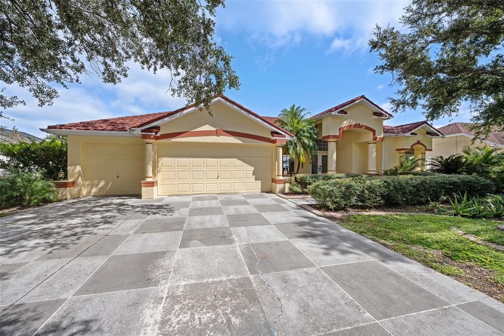 5230 Halstead Lane Zephyrhills, FL 33541 - Photo 66 of 72
