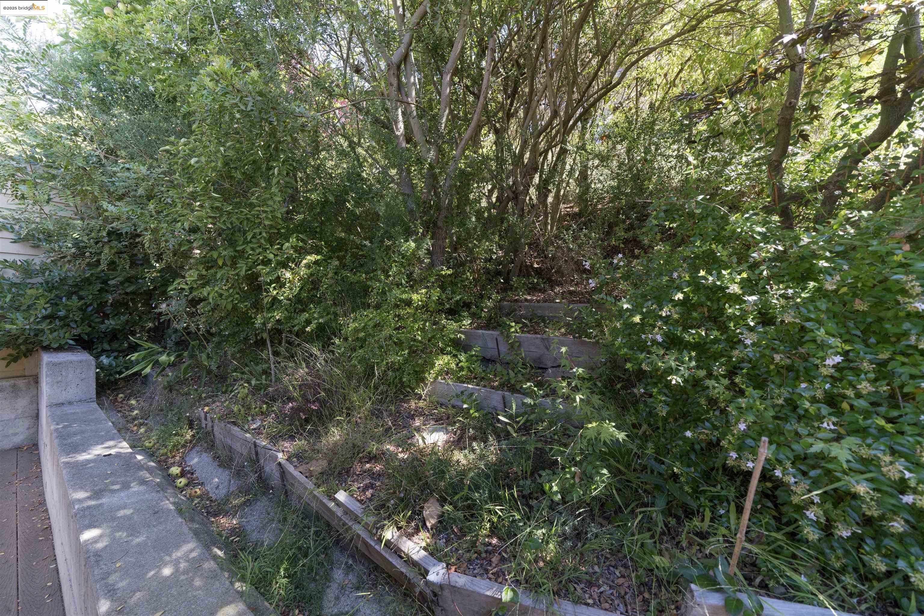 1881 Grand View Drive Oakland, CA 94618 - Photo 40 of 54 a backyard of a house with lots of green space