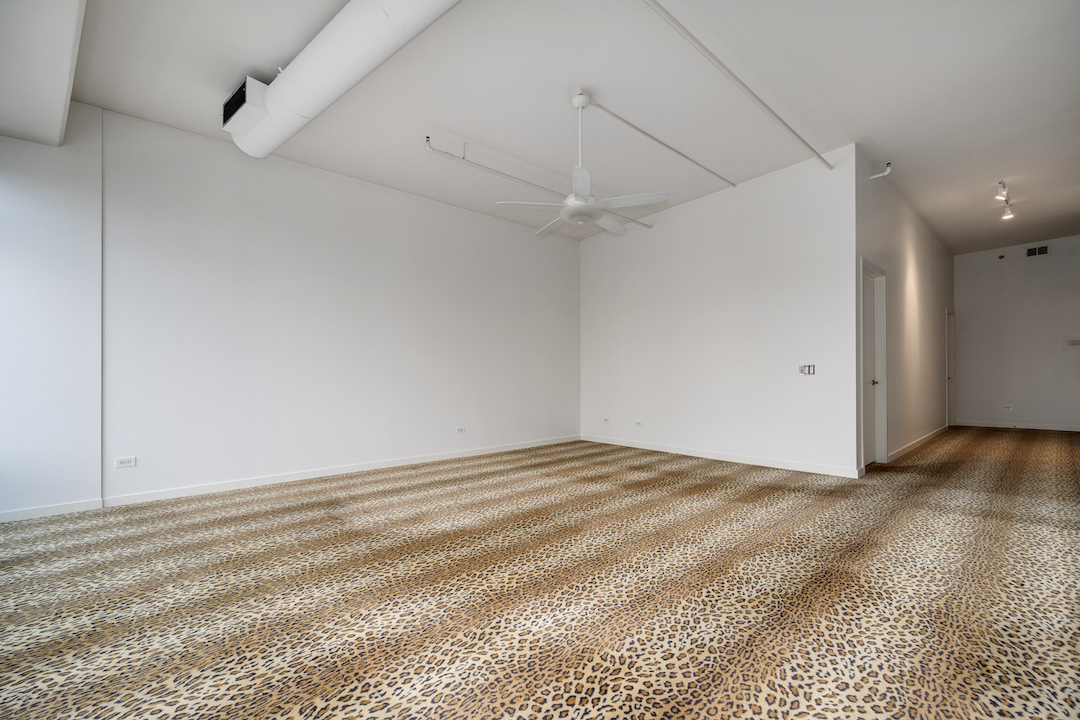 333 North Canal Street, Unit 3404 Chicago, IL 60606 - Photo 22 of 47