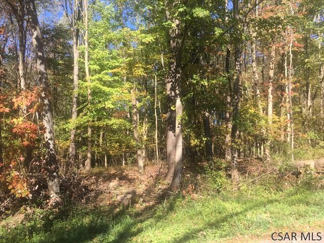 ---- Hickory Hollow Road Somerset, PA 15501 - Photo 1 of 1 Gallery Image 1