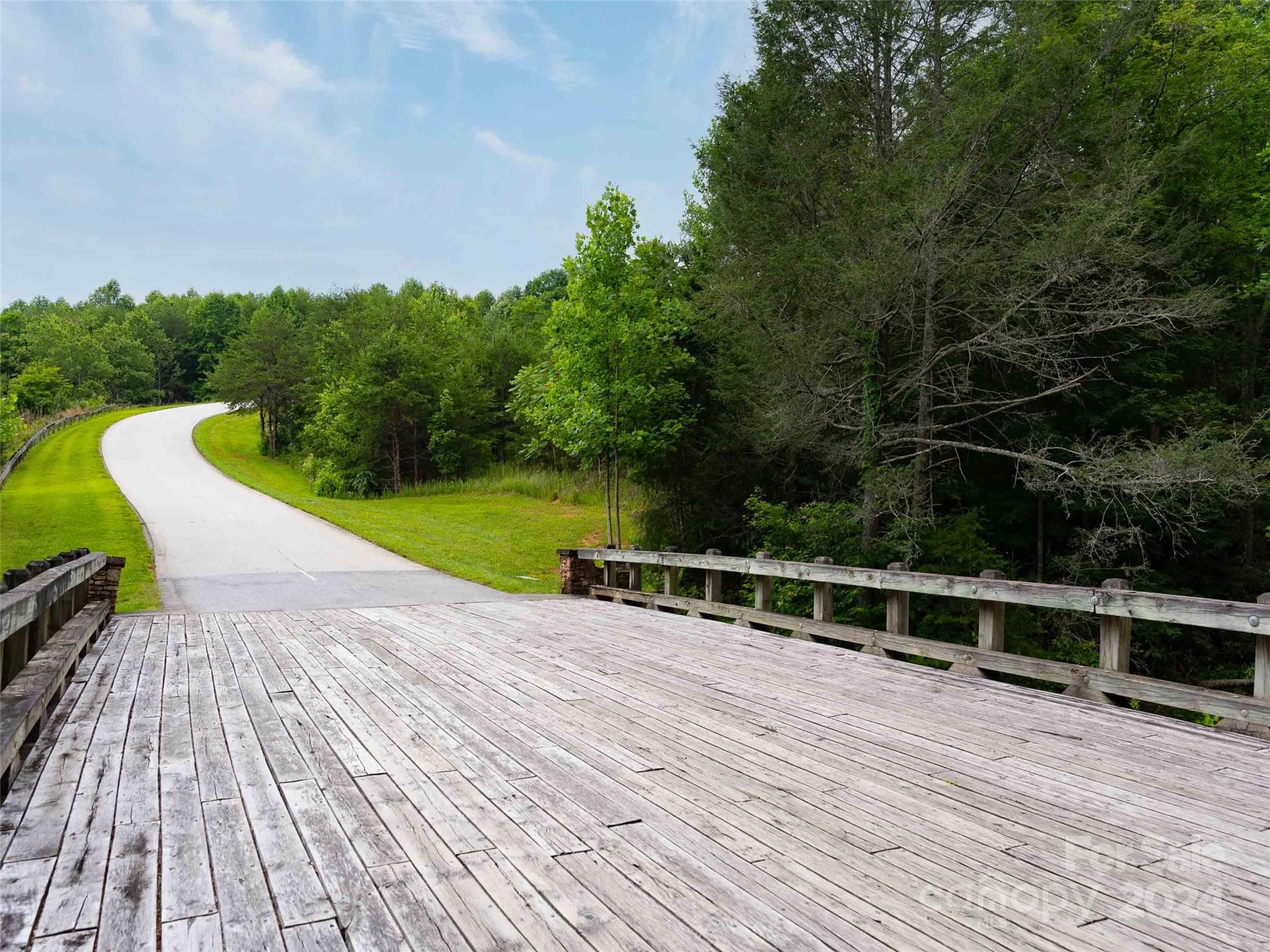 Lot 61 Deep Gap Farm Road East Mill Spring, NC 28756 - Photo 3 of 10