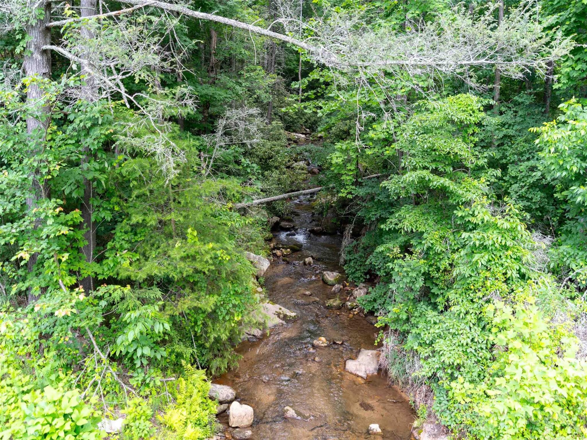 Lot 61 Deep Gap Farm Road East Mill Spring, NC 28756 - Photo 4 of 10