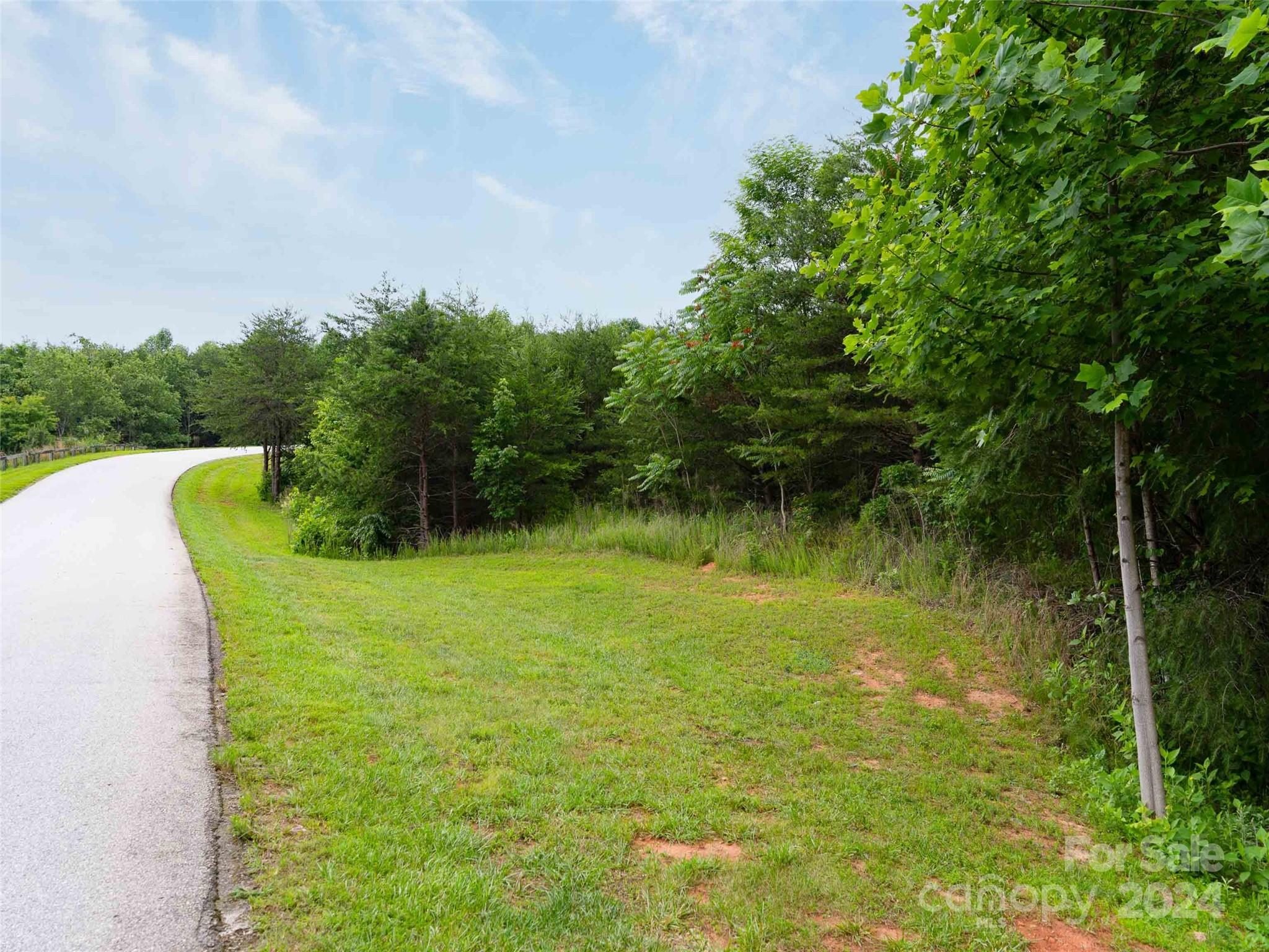 Lot 61 Deep Gap Farm Road East Mill Spring, NC 28756 - Photo 5 of 10