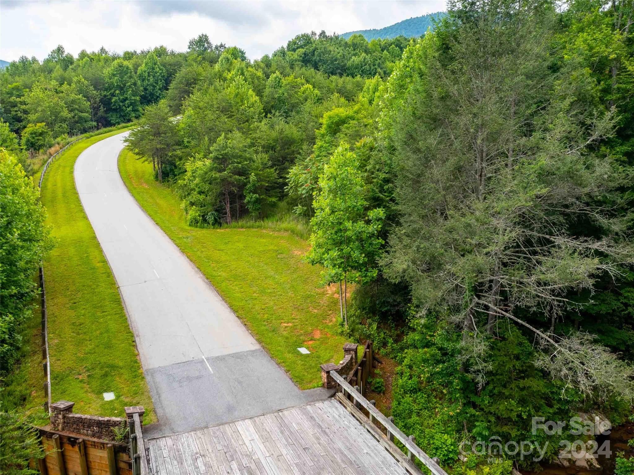 Lot 61 Deep Gap Farm Road East Mill Spring, NC 28756 - Photo 6 of 10