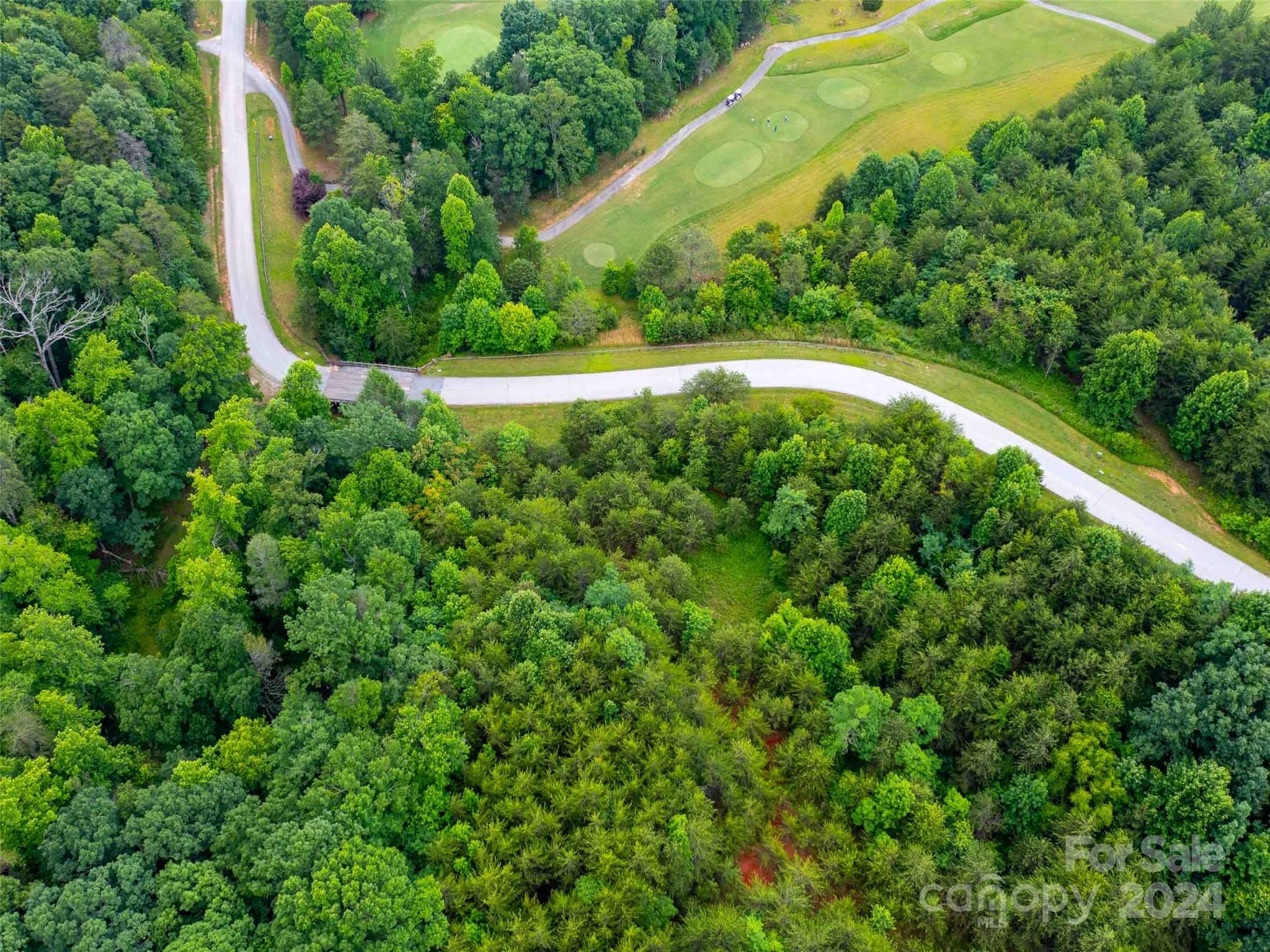 Lot 61 Deep Gap Farm Road East Mill Spring, NC 28756 - Photo 7 of 10